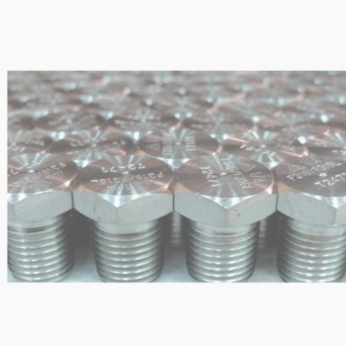 Bothwell Hex Head Plug