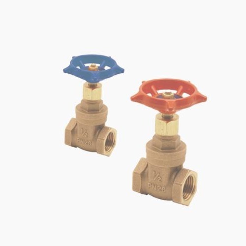 Pegler 10751 Gate Valve